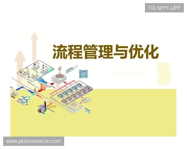 欧博代理管理网：代理合作流程优化与风险控制的实用技巧