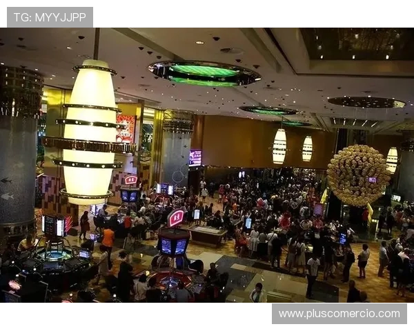 澳门百家乐现场体验分享,感受最真实赌场氛围的精彩瞬间