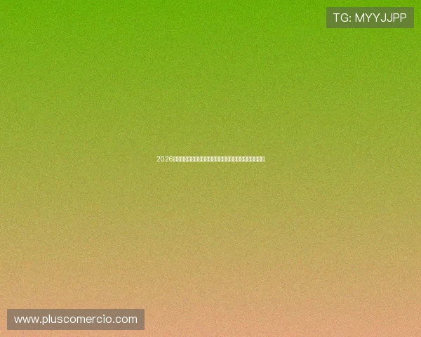 2026世界杯体育真人盘口实时数据分析与投注策略优化方案推荐