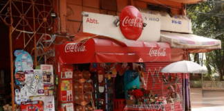 Las tienditas de la esquina viven amenazadas por la competencia moderna, pero son insustituibles. Generan más de 6 millones de empleos